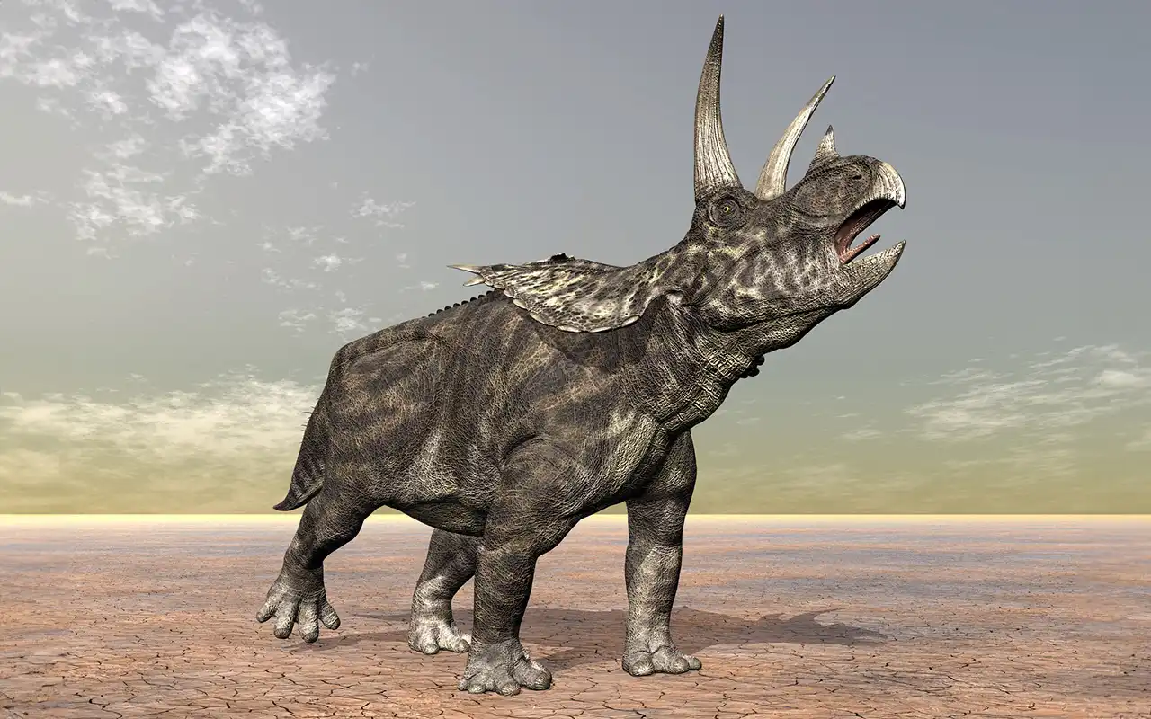 ペンタケラトプス（Pentaceratops） | 探そう！好きな恐竜