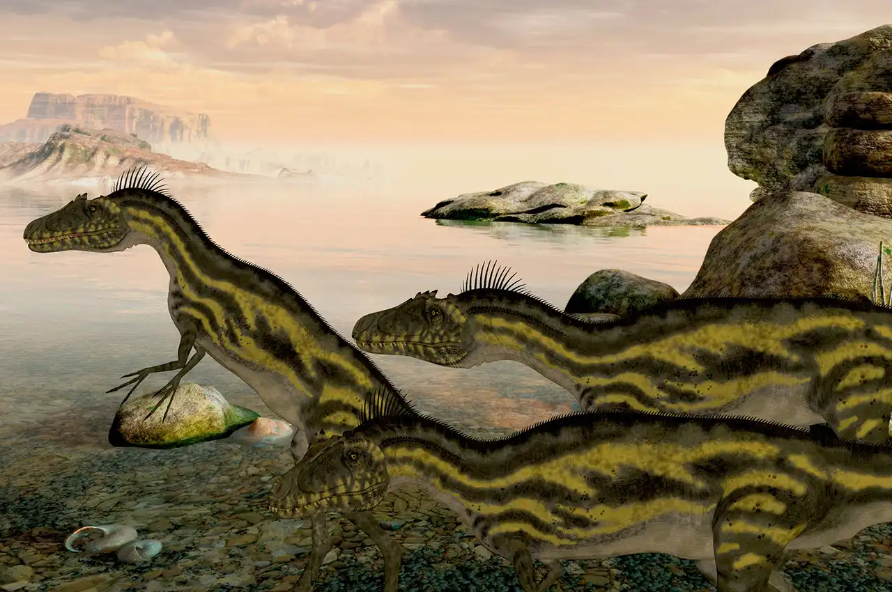 さいたま市緑区 原山幼稚園 制服 かばん 体操服 帽子