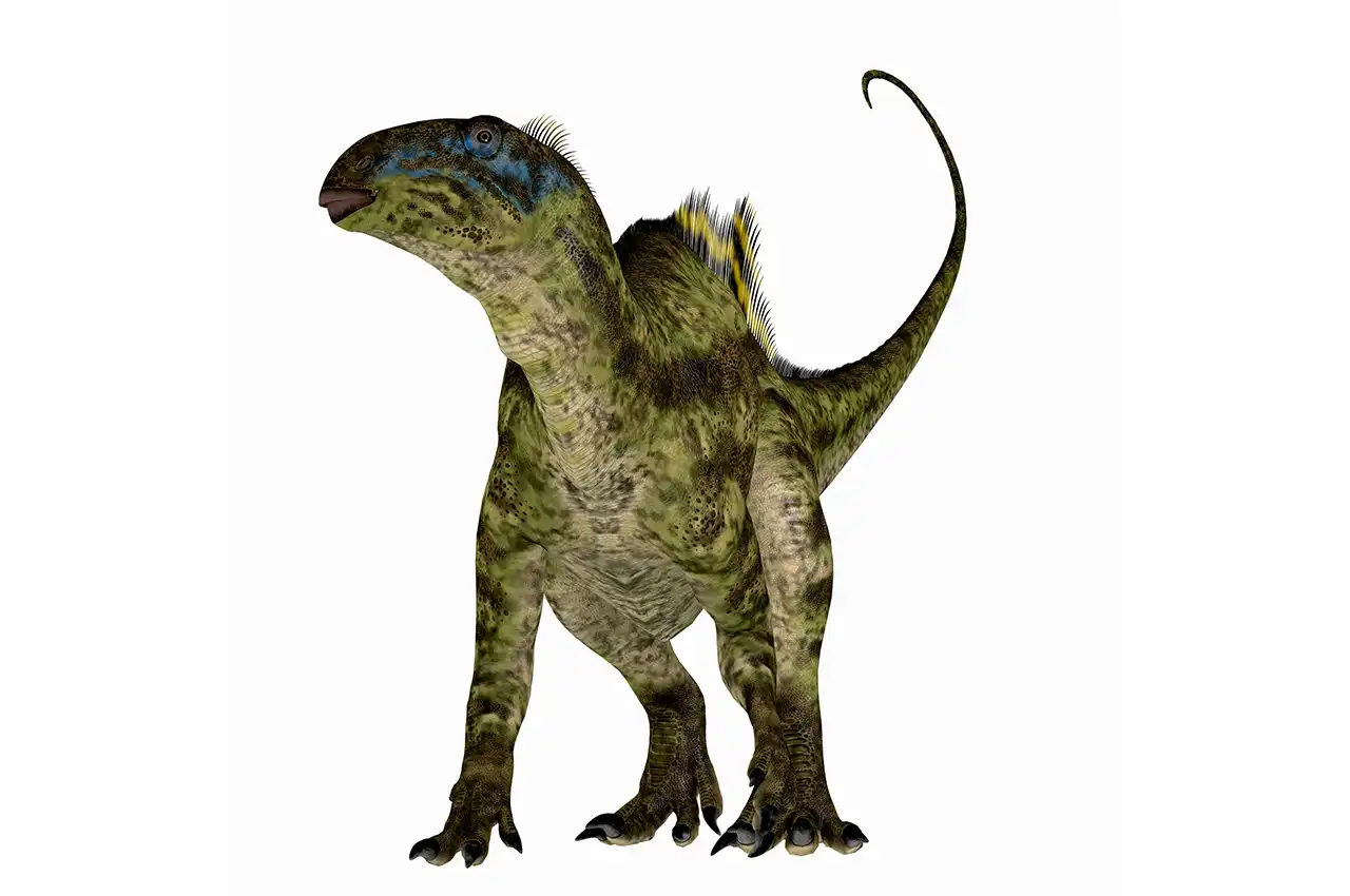 テノントサウルス（Tenontosaurus） | 探そう！好きな恐竜