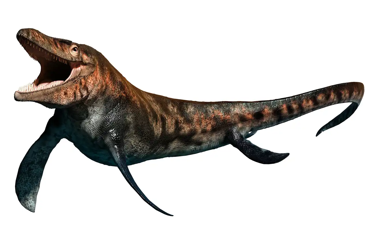 ティロサウルス（Tylosaurus） | 探そう！好きな恐竜