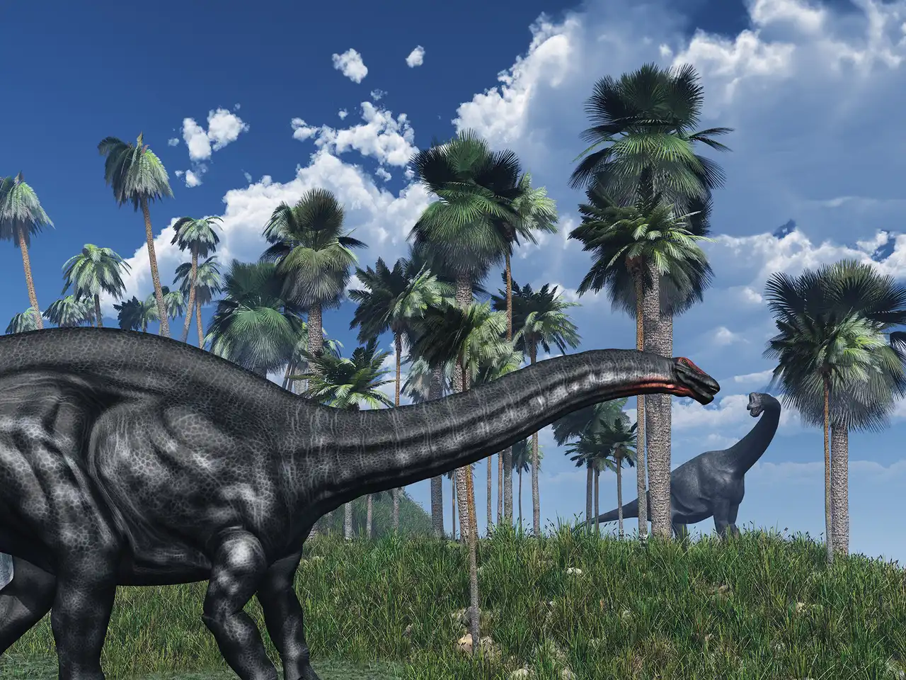 恐竜置物￼ ブロントサウルス Brontosaurus デザイン像 中国四川