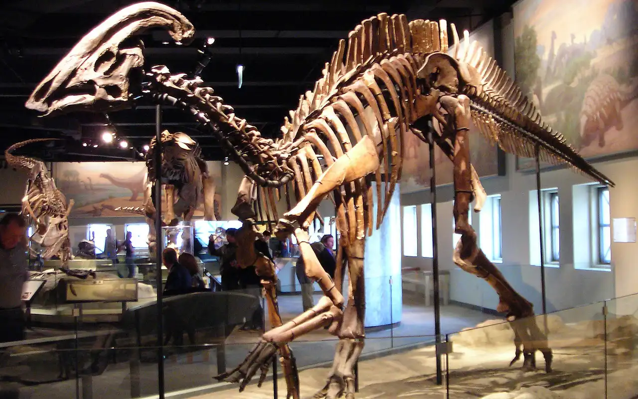 パラサウロロフス（Parasaurolophus） | 探そう！好きな恐竜