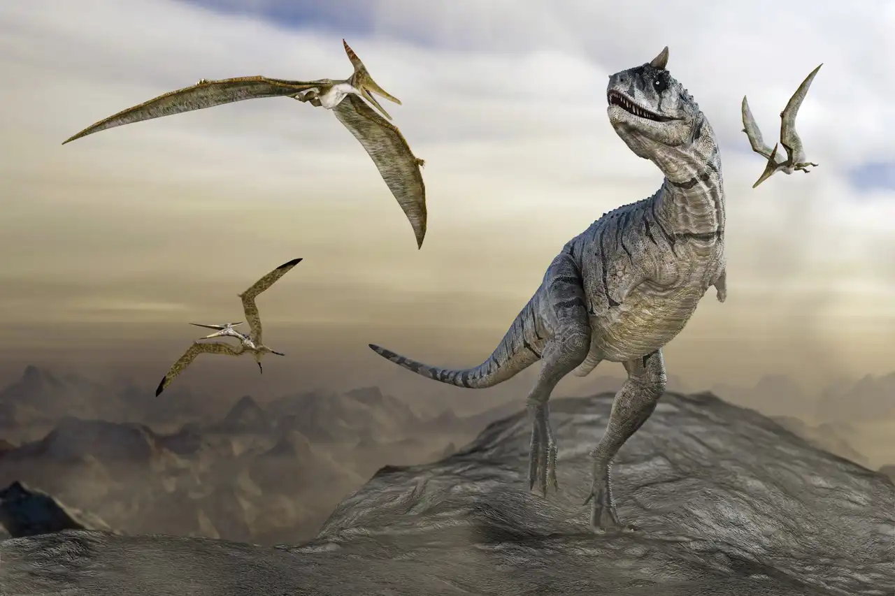 プテラノドン（Pteranodon） | 探そう！好きな恐竜