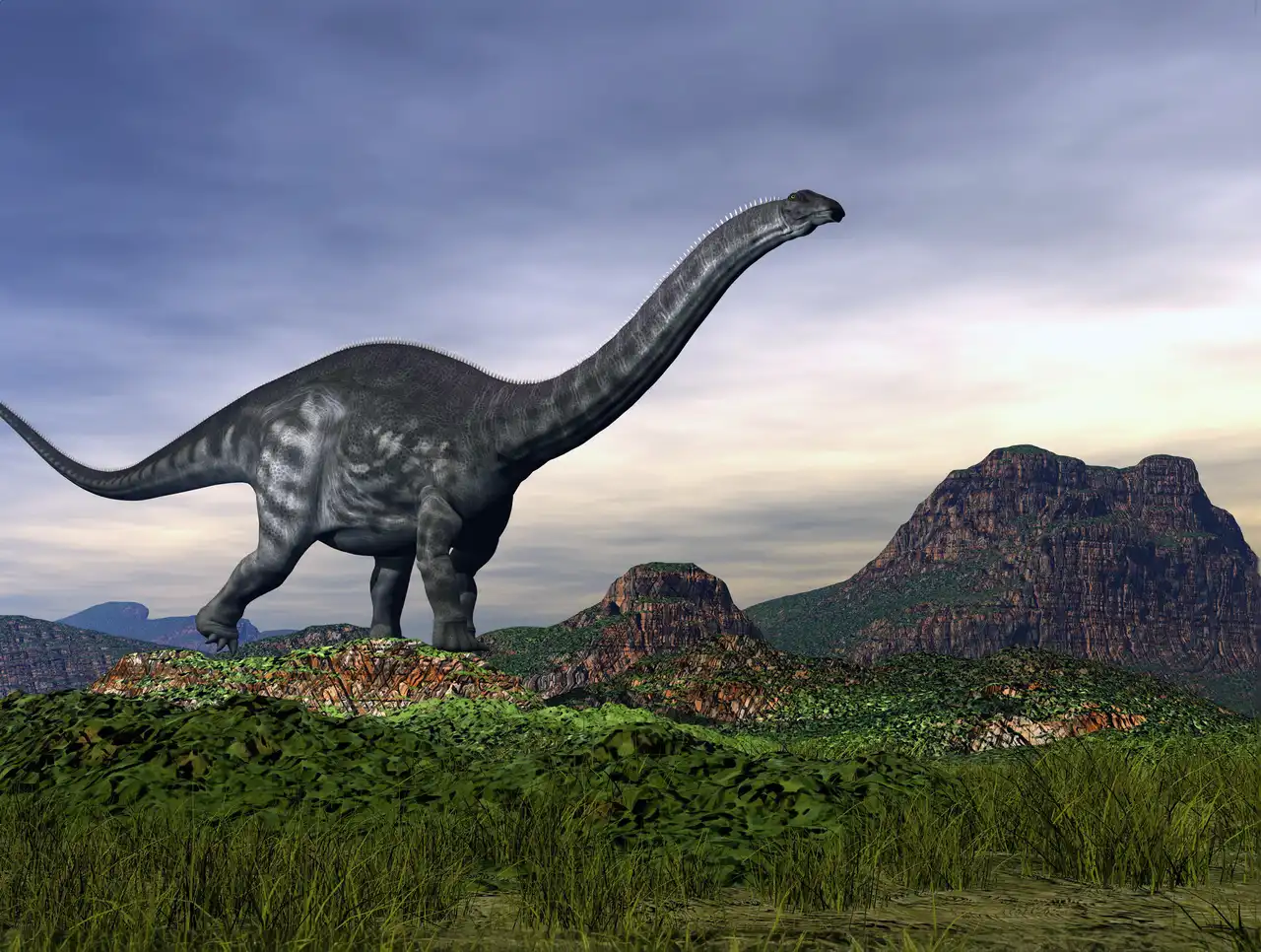 アパトサウルス(Apatosaurus) | 探そう!好きな恐竜 アパトサウルス(Apatosaurus) | 探そう!好きな恐竜