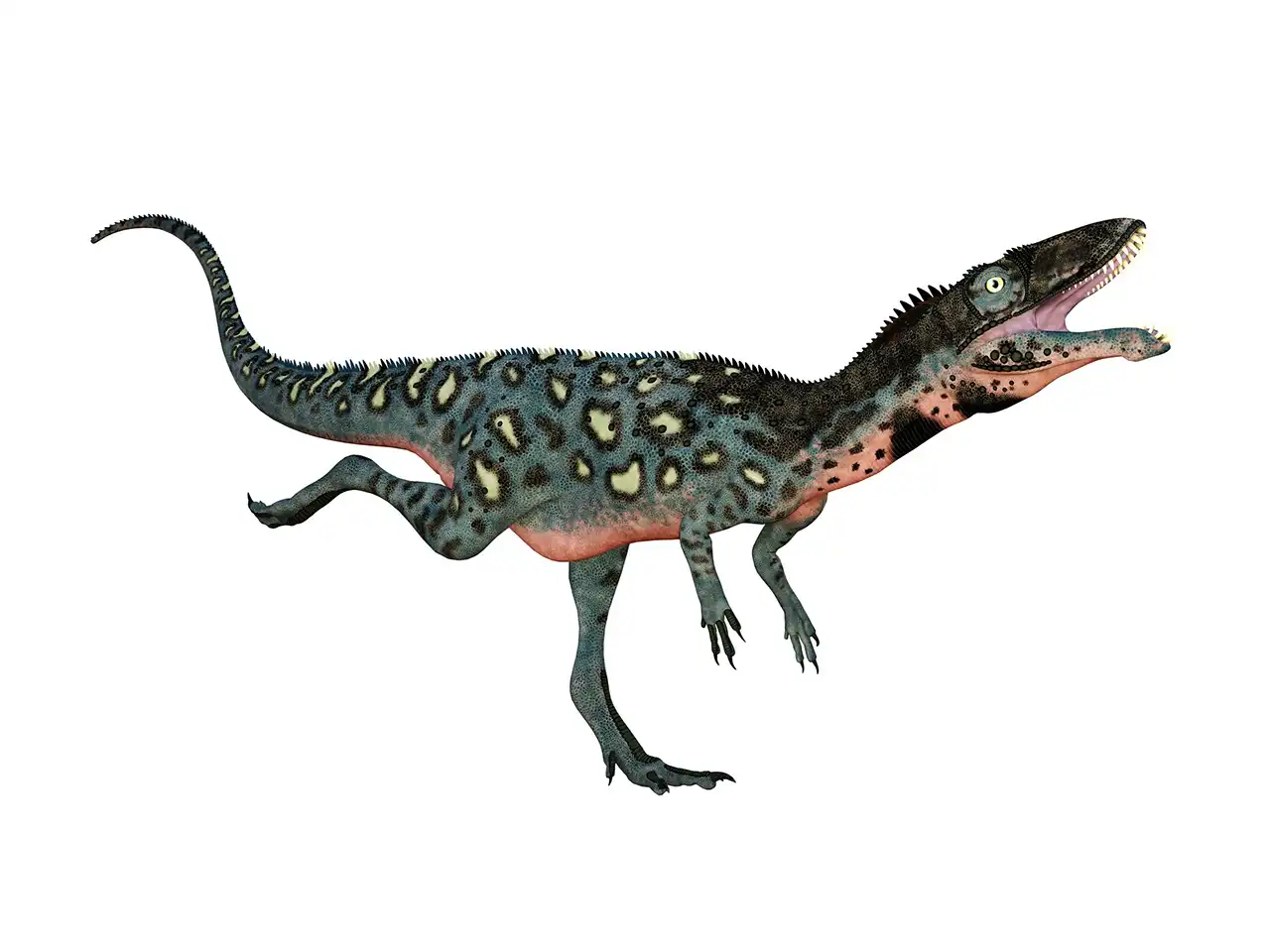マシアカサウルス（Masiakasaurus） | 探そう！好きな恐竜