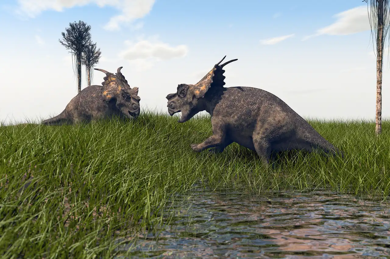 アケロウサウルス（Achelousaurus） | 探そう！好きな恐竜