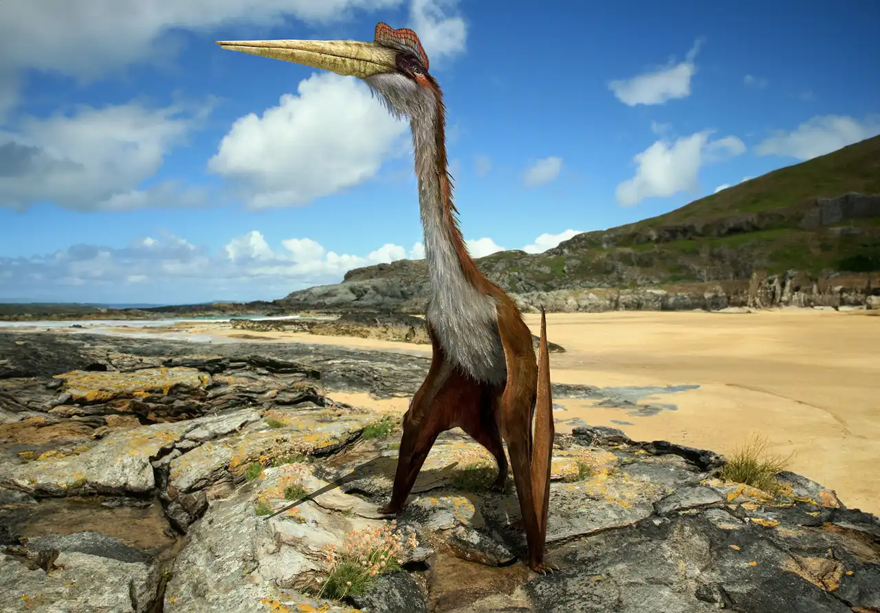 ケツァルコアトルス（Quetzalcoatlus） | 探そう！好きな恐竜