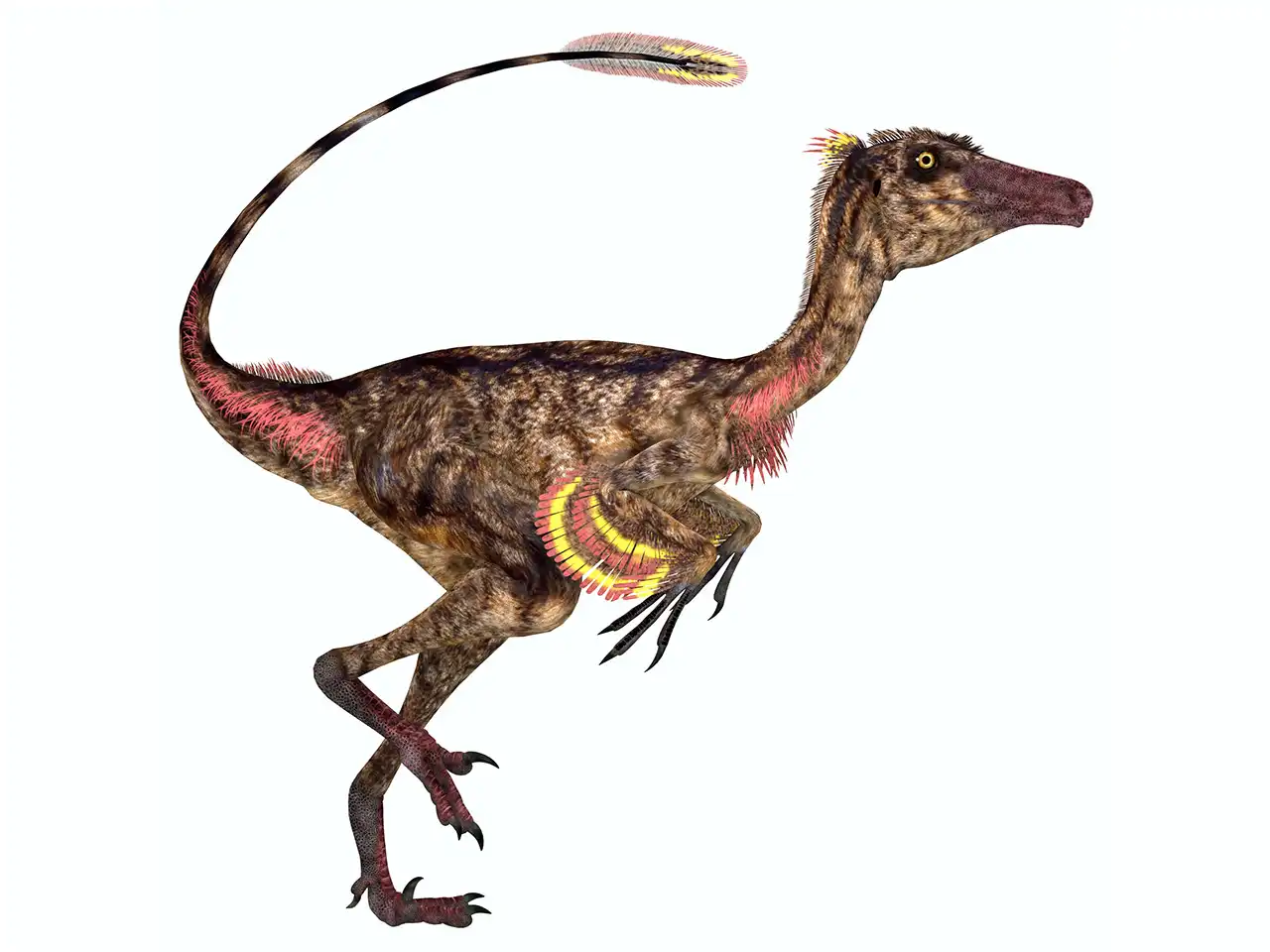 トロオドン（Troodon） | 探そう！好きな恐竜