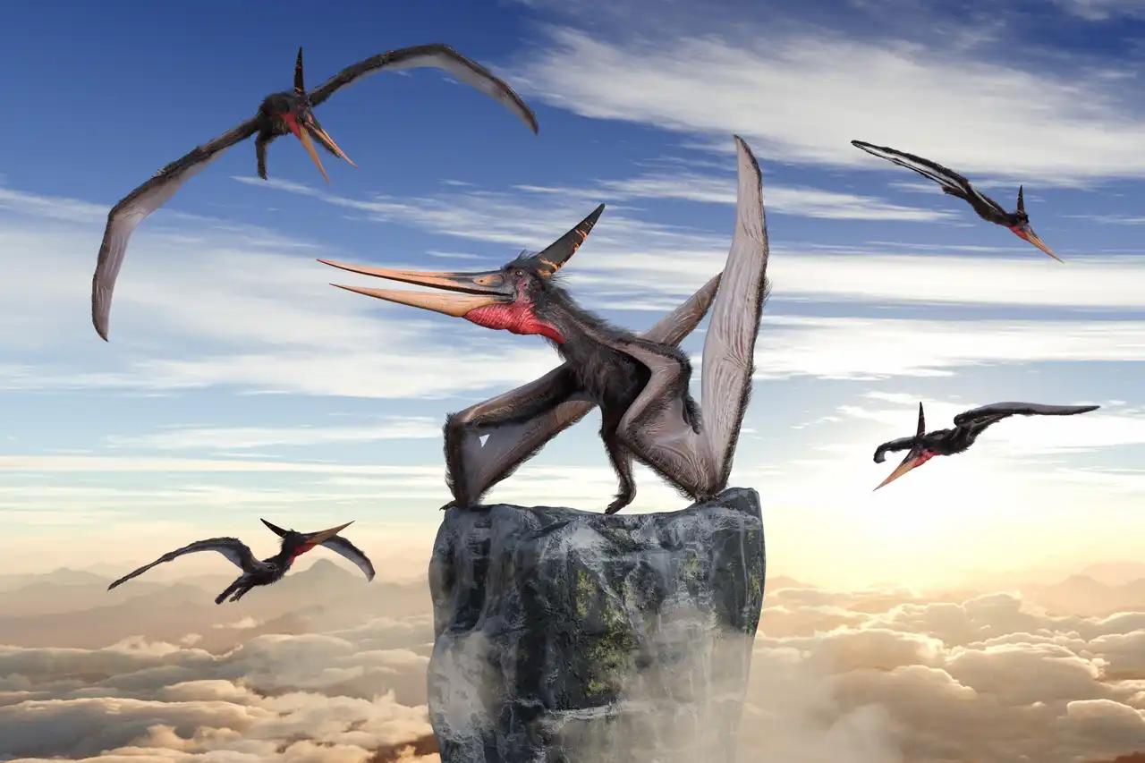 プテラノドン（Pteranodon） | 探そう！好きな恐竜