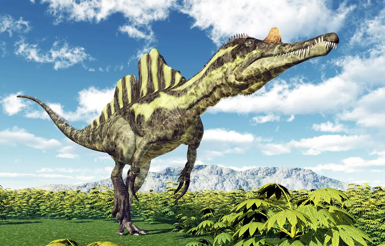 イクティオヴェナトル（Ichthyovenator） | 探そう！好きな恐竜