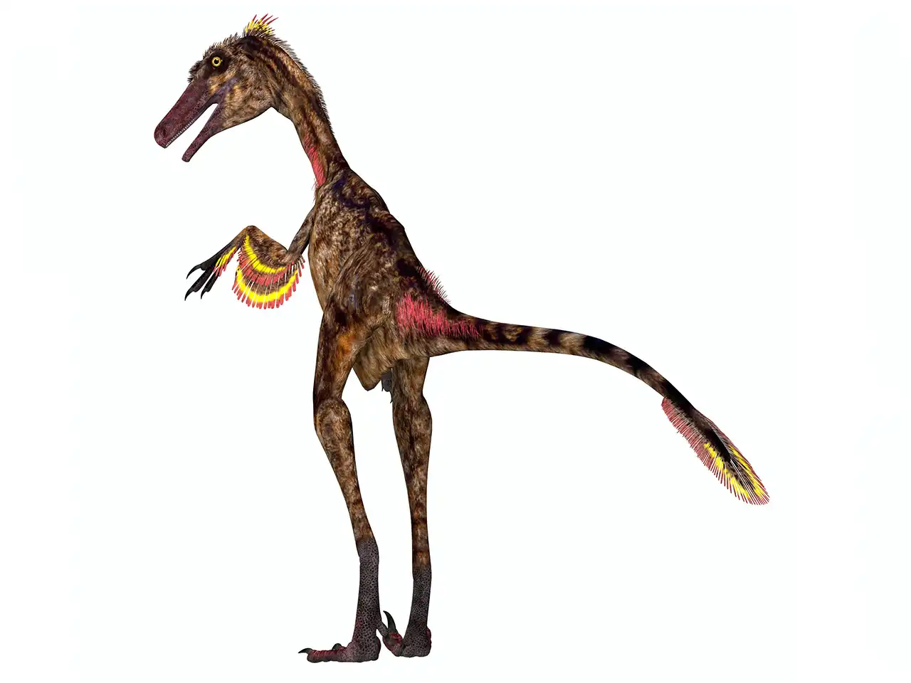 トロオドン（Troodon） | 探そう！好きな恐竜