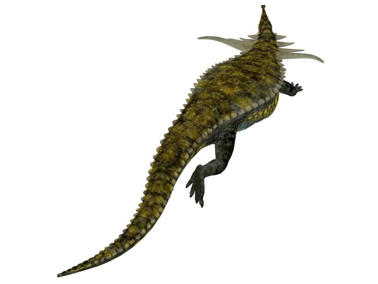 デスマトスクス（Desmatosuchus） | 探そう！好きな恐竜