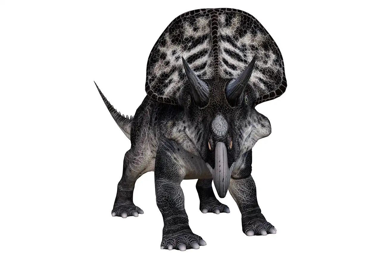 ズニケラトプス（Zuniceratops） | 探そう！好きな恐竜