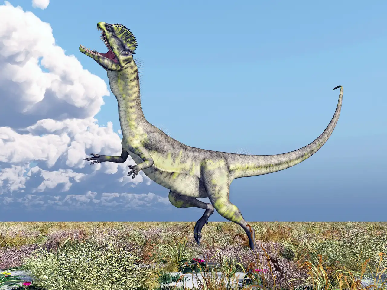 ディロフォサウルス（Dilophosaurus） | 探そう！好きな恐竜