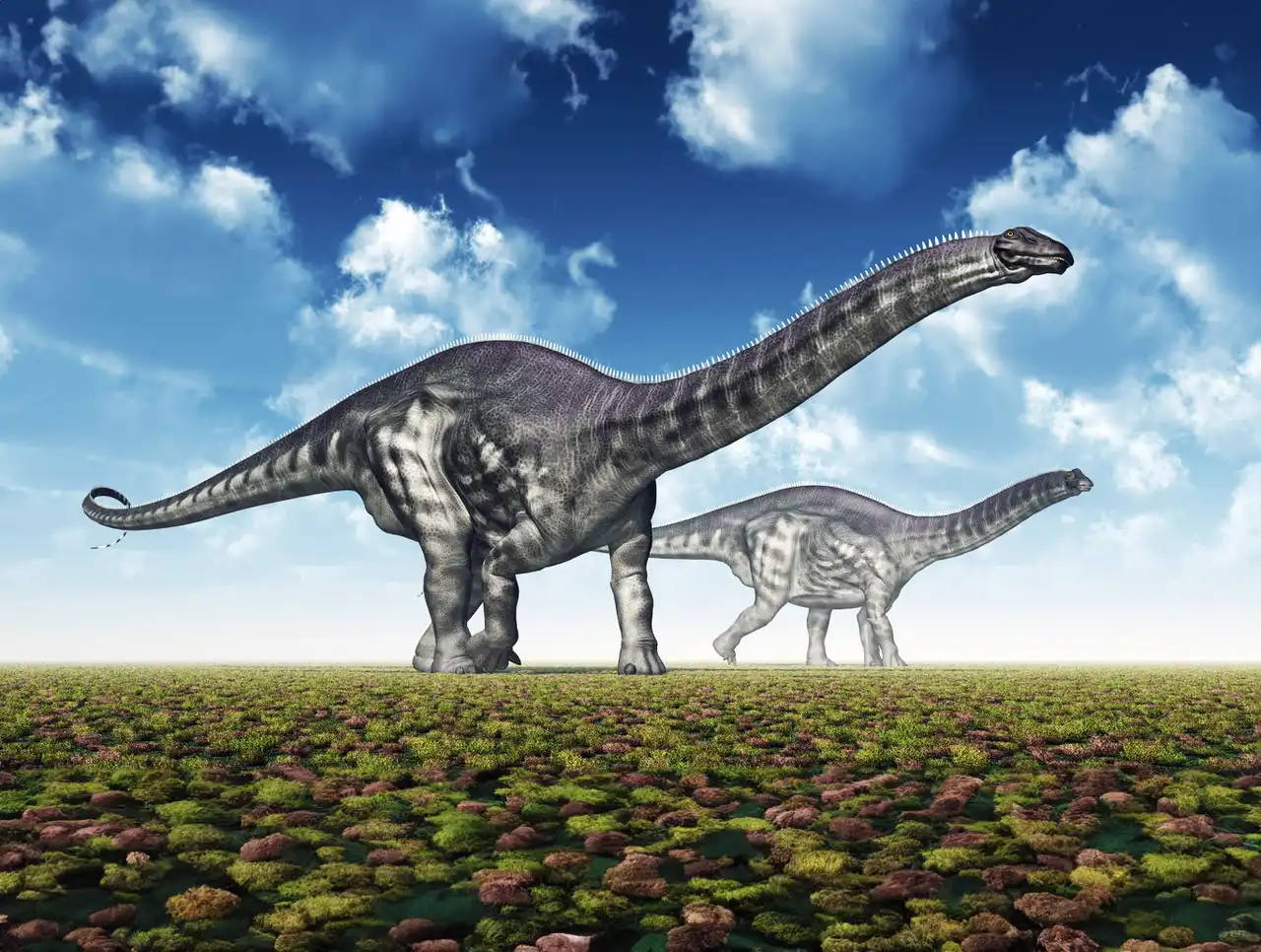 アパトサウルス（Apatosaurus） | 探そう！好きな恐竜