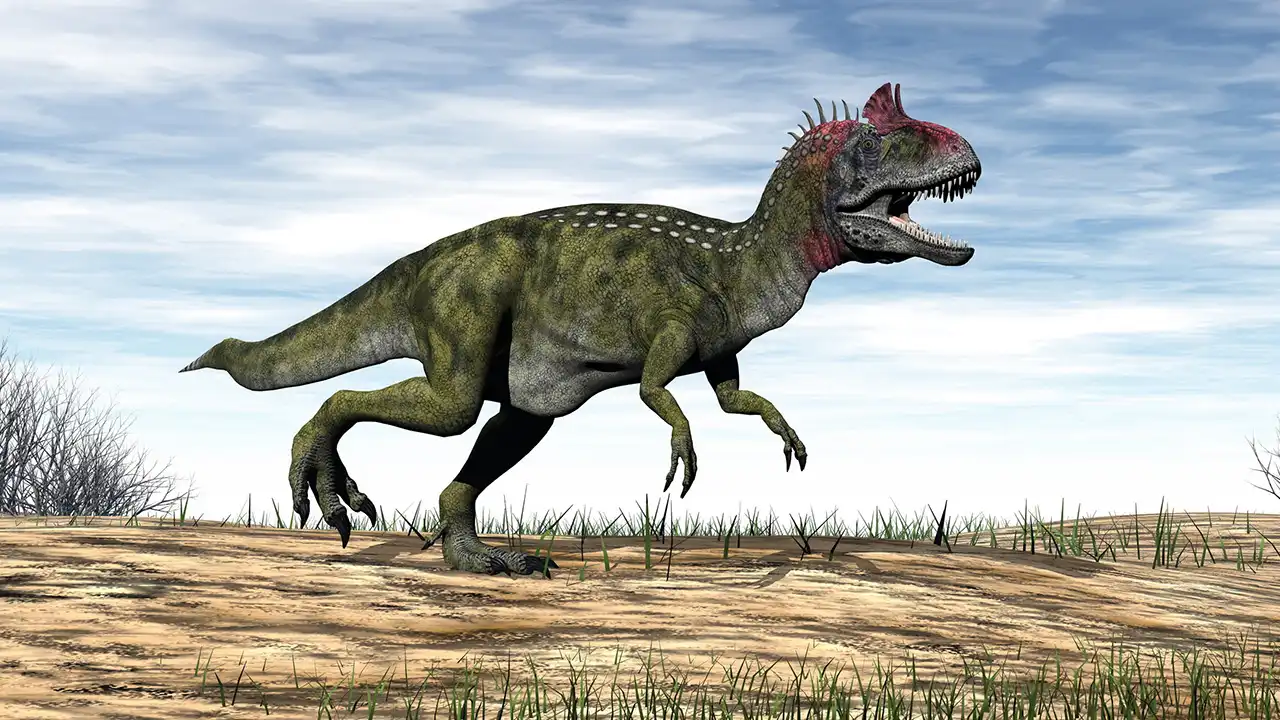 クリオロフォサウルス 覚新 第三紀 恐竜キング - メルカリ
