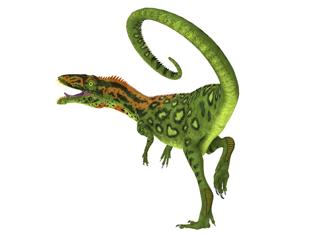マシアカサウルス（Masiakasaurus） | 探そう！好きな恐竜