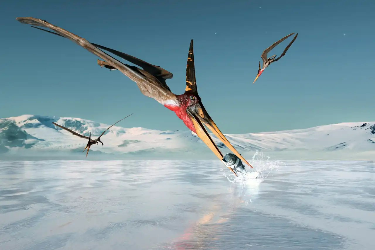 プテラノドン（Pteranodon） | 探そう！好きな恐竜