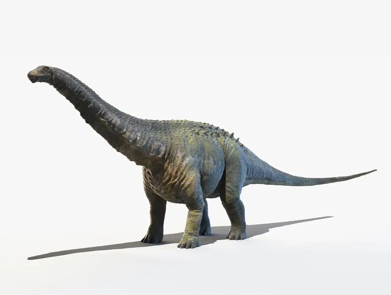 アパトサウルス（Apatosaurus） | 探そう！好きな恐竜