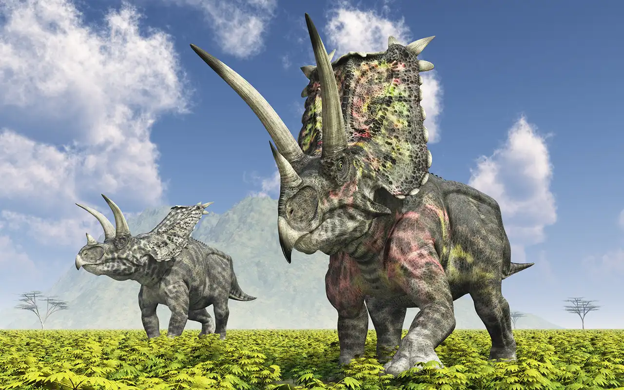 ペンタケラトプス（Pentaceratops） | 探そう！好きな恐竜