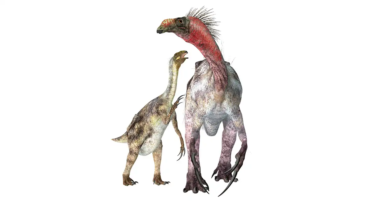 テリジノサウルス（Therizinosaurus） | 探そう！好きな恐竜