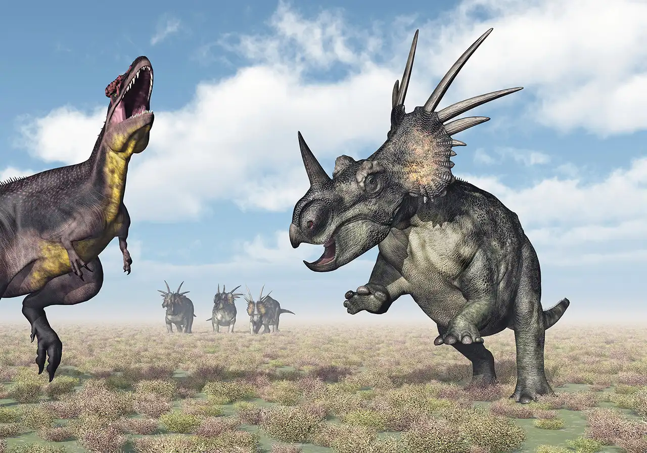 スティラコサウルス（Styracosaurus） | 探そう！好きな恐竜