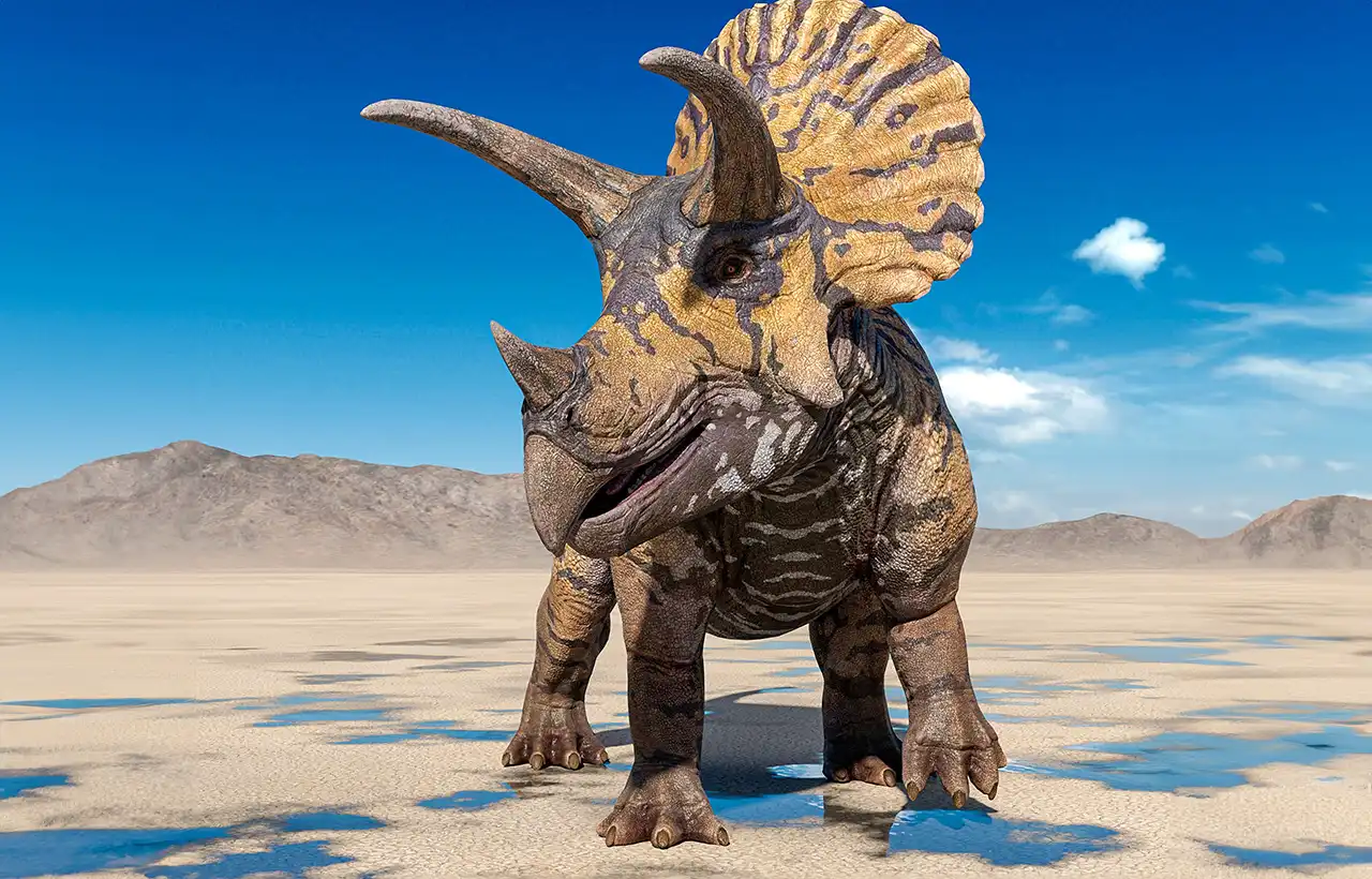 トリケラトプス（Triceratops） | 探そう！好きな恐竜
