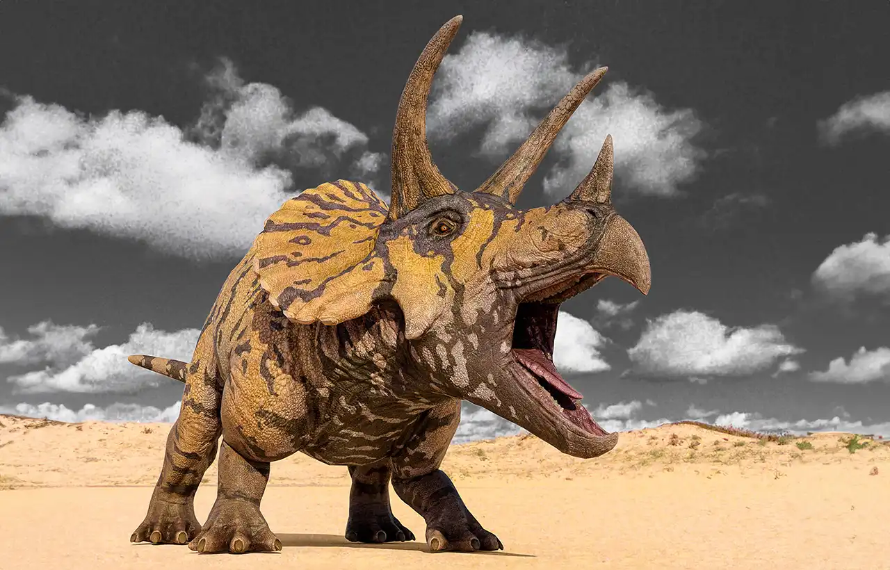 トリケラトプス(Triceratops) | 探そう!好きな恐竜 トリケラトプス(Triceratops) | 探そう!好きな恐竜