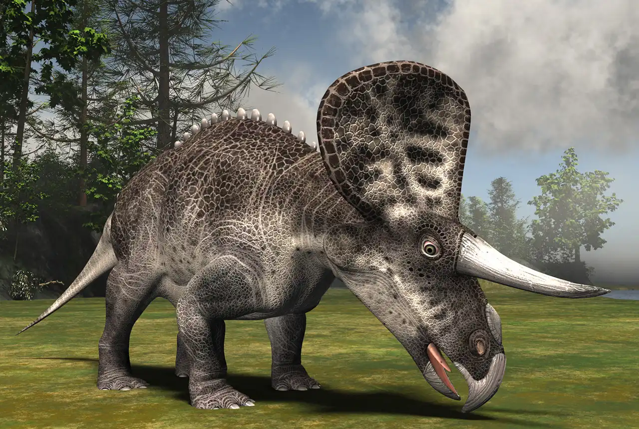 ズニケラトプス（Zuniceratops） | 探そう！好きな恐竜