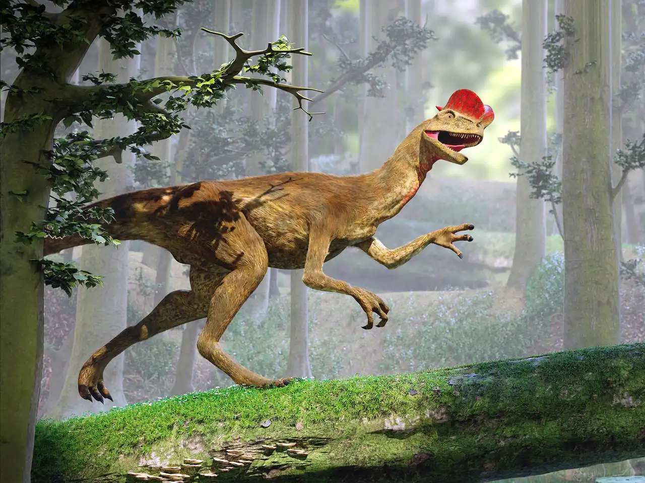 ディロフォサウルス（Dilophosaurus） | 探そう！好きな恐竜