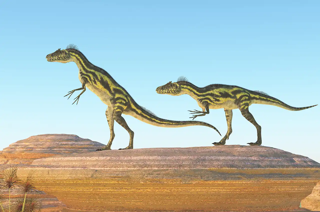 さいたま市緑区 原山幼稚園 制服 かばん 体操服 帽子