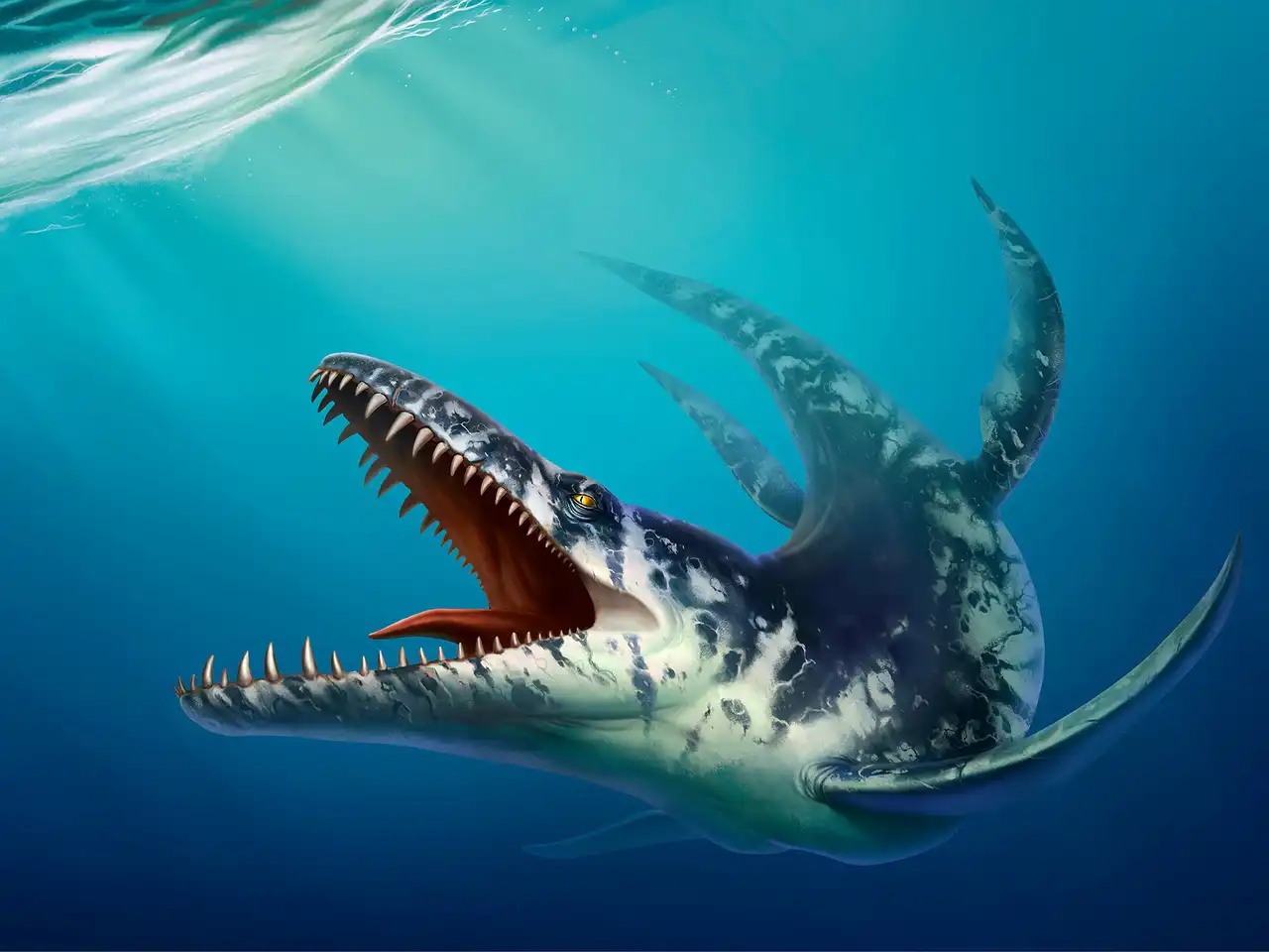 クロノサウルス（Kronosaurus） | 探そう！好きな恐竜