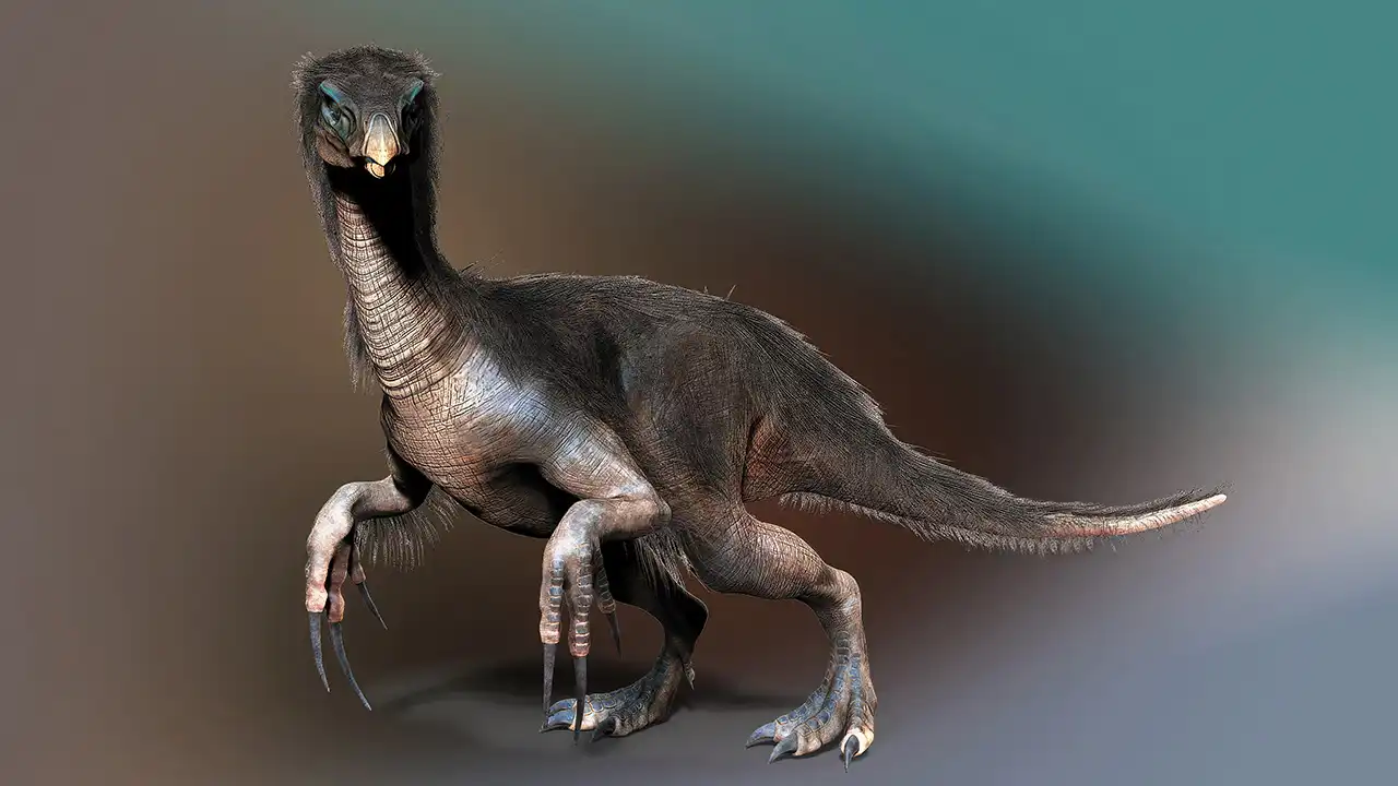 恐竜キング スーパーテリジノサウルス 目覚めよ新たなる力 覚新5紀 シークレット Amazon.co.jp: 恐竜キング スーパーテリジノサウルス 目覚めよ