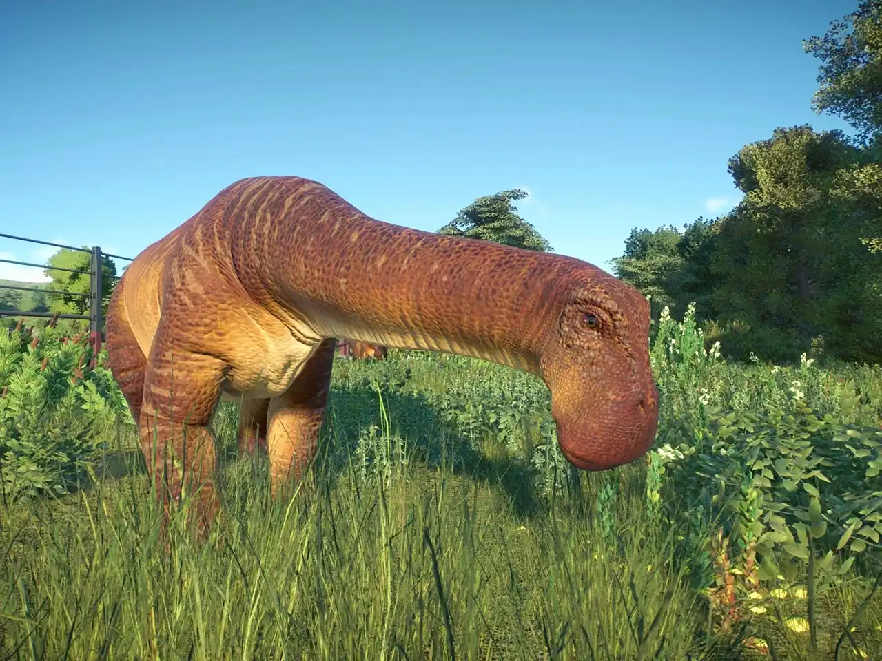 ニジェールサウルス 歯 神レア 化石 ニジェールサウルス