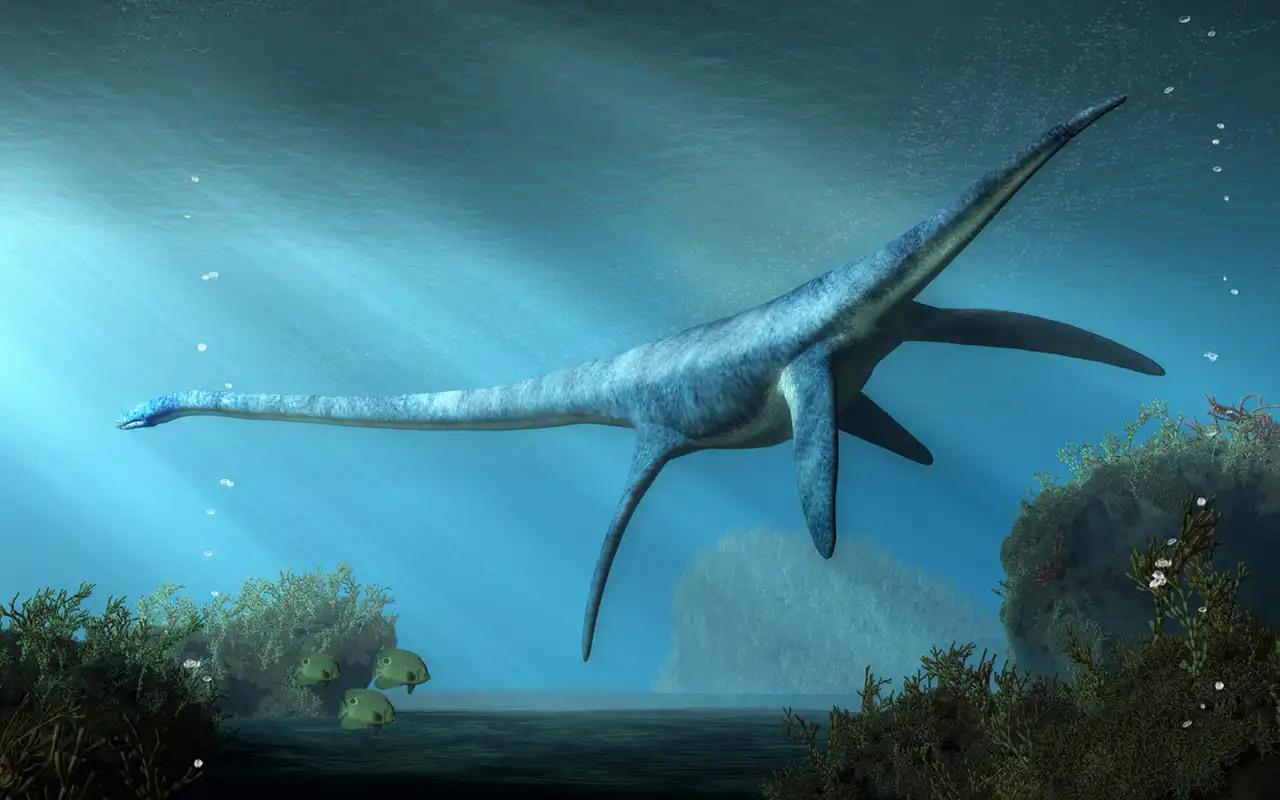 エラスモサウルス（Elasmosaurus） | 探そう！好きな恐竜 
