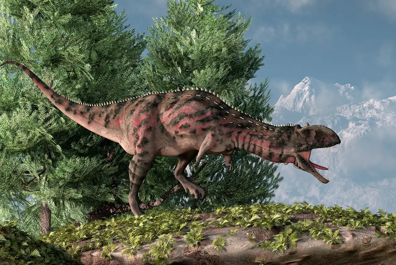 マジュンガサウルス（Majungasaurus） | 探そう！好きな恐竜