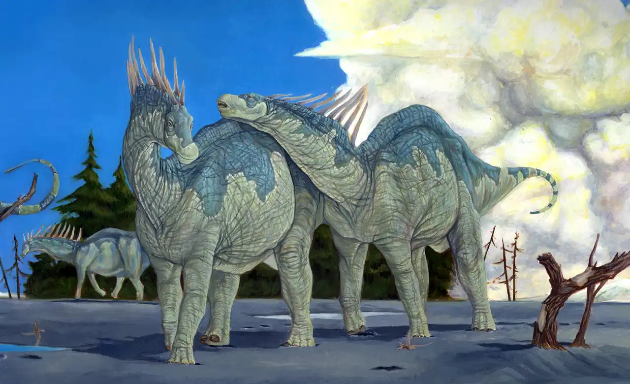 アマルガサウルス（Amargasaurus） 探そう！好きな恐竜