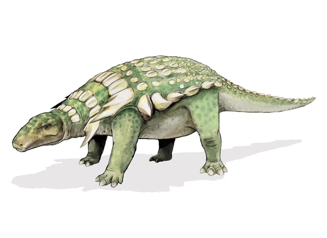 エドモントニア（Edmontonia） | 探そう！好きな恐竜