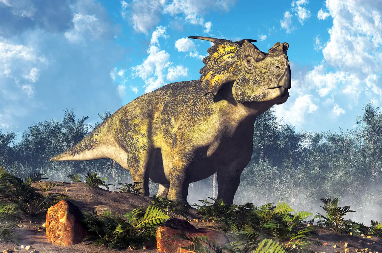 アケロウサウルス（Achelousaurus） | 探そう！好きな恐竜