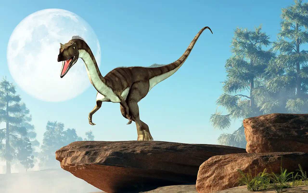 コエロフィシス（Coelophysis） | 探そう！好きな恐竜