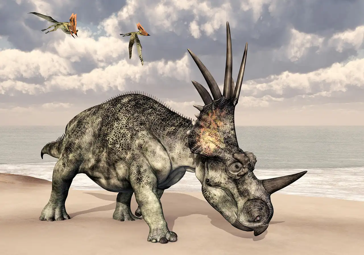 スティラコサウルス（Styracosaurus） | 探そう！好きな恐竜